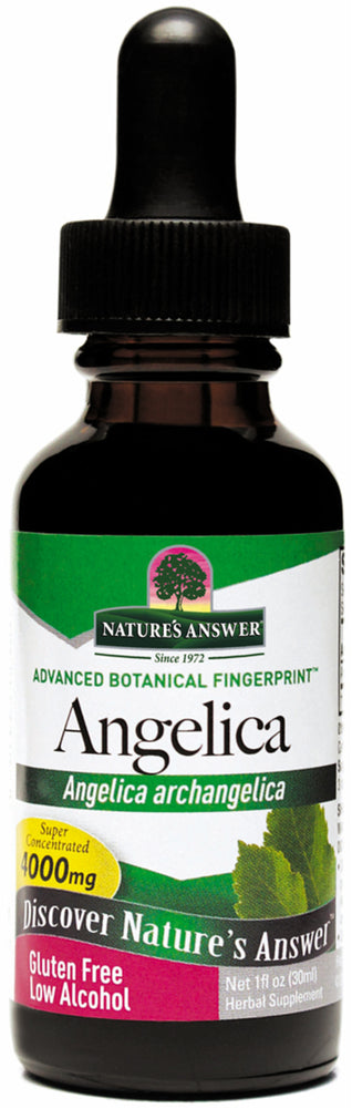 Angelica Root Liquid Extract, 1 fl oz (30 mL) Dropper Bottle