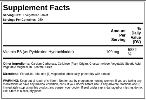 Vitamin B-6, 100 mg, 250 Vegetarian Tablets