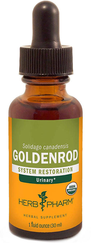 Extracto líquido de vara de oro 1 fl oz 30 mL Frasco con dosificador    